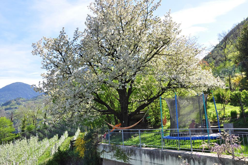 Unterbrunnerhof Apartment ลานา ภายนอก รูปภาพ