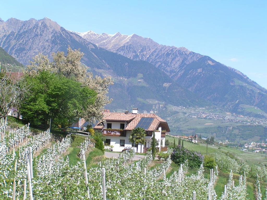 Unterbrunnerhof Apartment ลานา ภายนอก รูปภาพ
